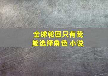 全球轮回只有我能选择角色 小说